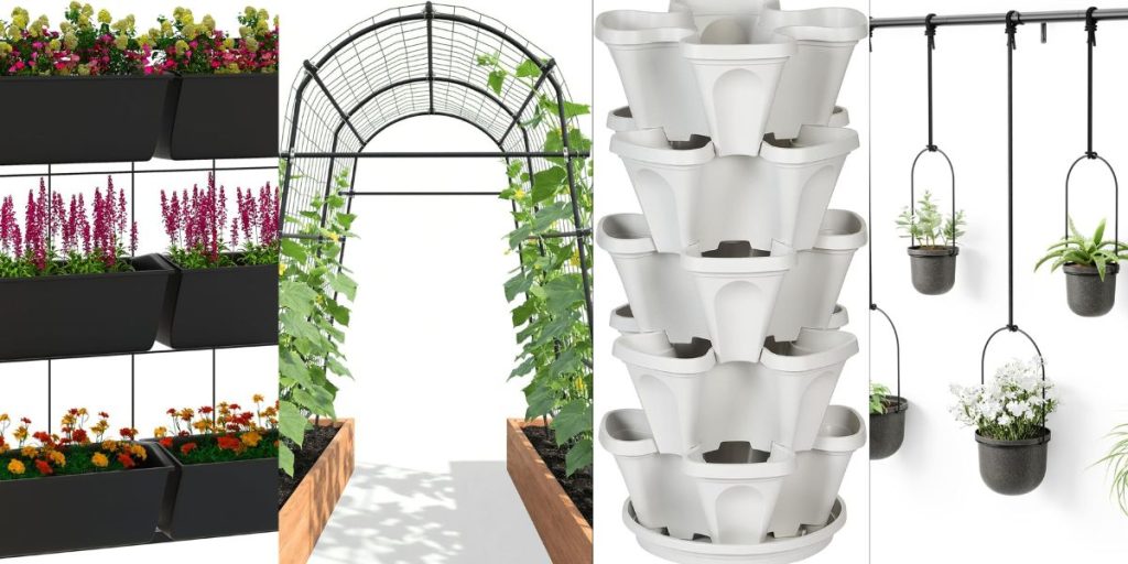 Best Garden Types for Vertical Gardening