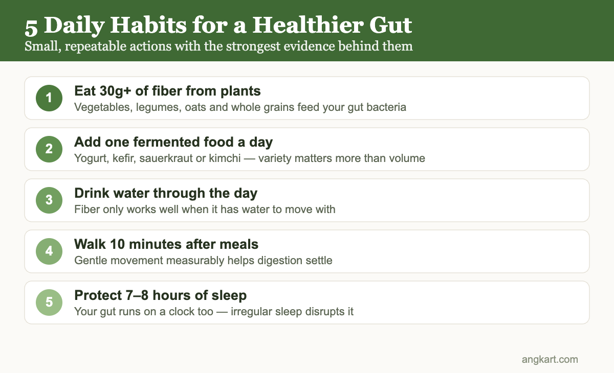 Infographic: five daily habits for a healthier gut &mdash; fiber, fermented food, water, walking after meals and consistent sleep